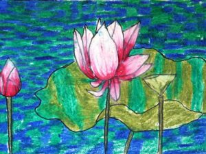 Lotus-The National Flower