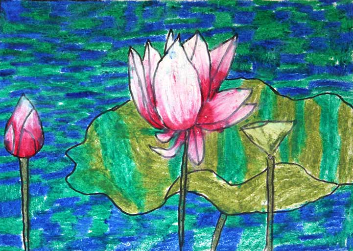 Lotus-The National Flower