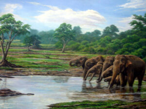 Nature Gilft
