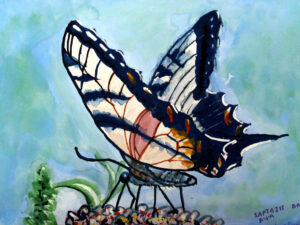 Titlee-The Butterfly