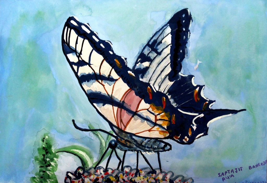 Titlee-The Butterfly