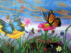 Titlee-The Butterfly
