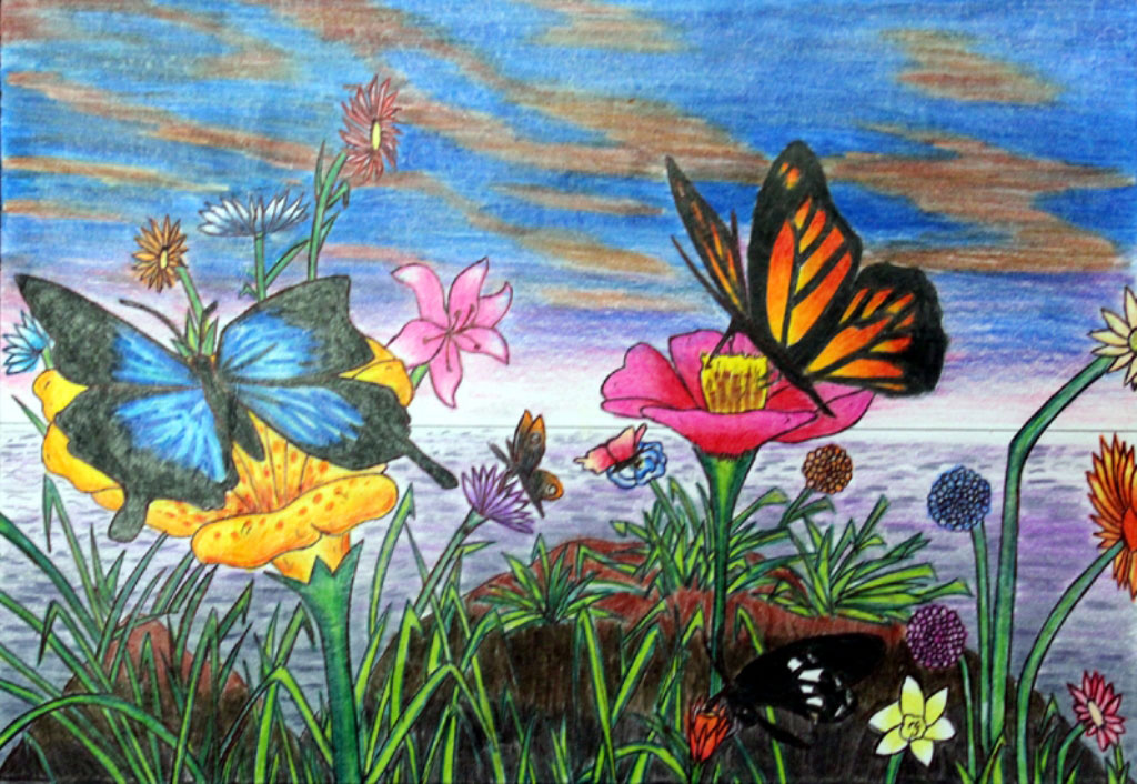 Titlee-The Butterfly