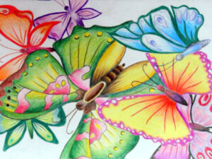 Titlee-The Butterfly