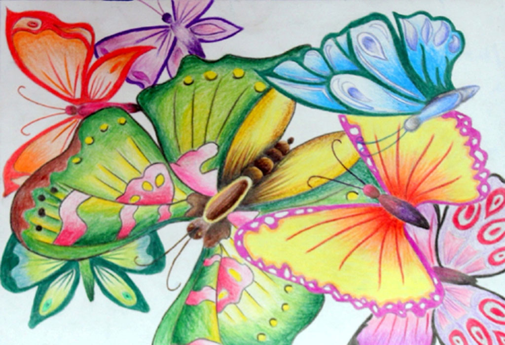 Titlee-The Butterfly