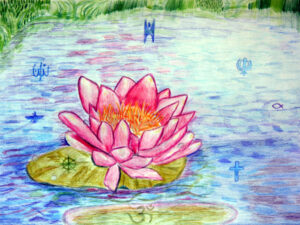 Lotus-The National Flower