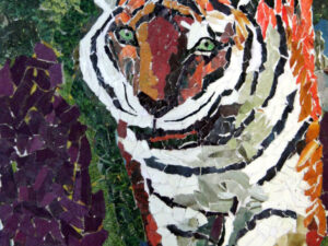 Tiger-The National Animal