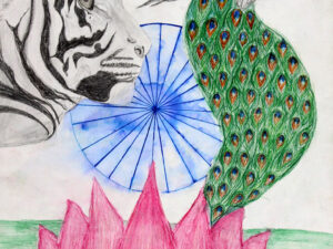 Colours of National Symbols