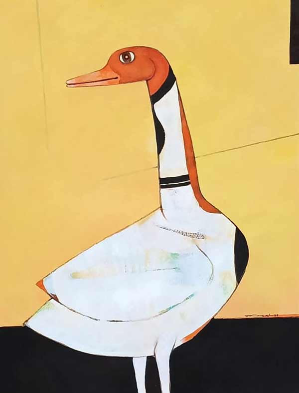 Duck