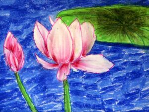Lotus-The National Flower