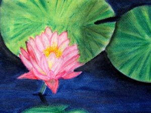 Lotus-The National Flower