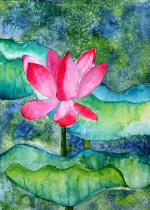Lotus-The National Flower