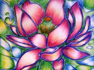 Lotus-The National Flower