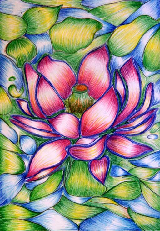 Lotus-The National Flower