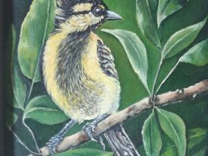 Bulbul