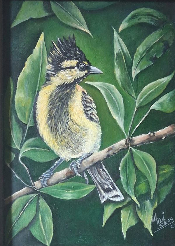 Bulbul