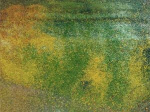 Fragments of Color, Woven by Nature’s Hand